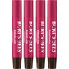 Burt's Bees Shimmer Lip Tint Set, Tinted Lip Balm Stick,