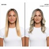Clairol Shimmer Lights Blonde and Silver Shampoo Shampoo Unisex 16