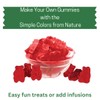 Simple Mixes Natural Gummy Mix, Healthy Snack, Dye-Free, No Gluten