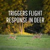 Safer Brand Deer-Off Deer Repellent Stations - 6 Waterproof Repelling