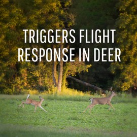 Safer Brand Deer-Off Deer Repellent Stations - 6 Waterproof Repelling Stakes for Gardens and Lawns - All Season Protection - 5962 - 6 Pack