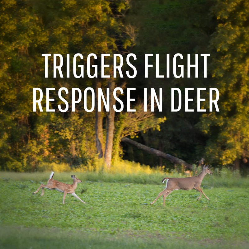 Safer Brand Deer-Off Deer Repellent Stations - 6 Waterproof Repelling