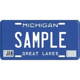 Your Name Your State Custom Metal License Plate - Choose from All 50 States (Michigan 1980's, 6" x 12" Standard Thickness (.030"))