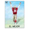 Nineria 49ers X Loteria = Nineria Original Art! Series 1