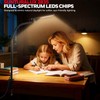 Honeywell HJ2 Clip On LED Desk Lamp with Clamp, Adjustable