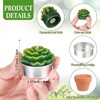 24 Velas de Cactus,Velas de Suculentas,Juego velas suculentas con caja