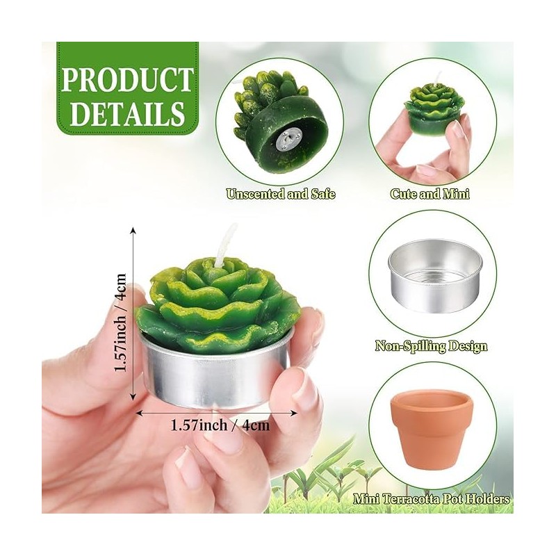 24 Velas de Cactus,Velas de Suculentas,Juego velas suculentas con caja