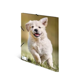 HERMA Collecting Folders A4 Dog Set, 3 Pieces, Children's Corner Folder Made of Plastic with Animal Motif, Elastic Band, Inner Flaps and Inner Print for Boys and Girls
