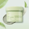 Shingmulnara Young Green Tea Fresh Pore Clay Pack 100ml -