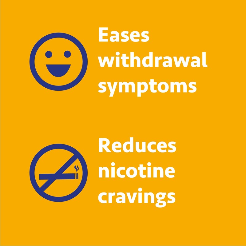 Wellness Basics - 4mg Nicotine Gum (Fruit Flavor - 160