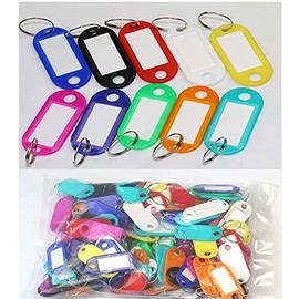 120pcs Key Tags with Interchangeable Labels for Home Workplace Luggage Tags (10 Colors, 5 x 2.2 cm)