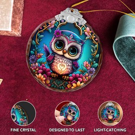 Owl Gifts for Women - Owl Ornaments for Christmas Trees - Owl Gifts for Owl Lovers, Owl Owl Decorations for Home, Owl Christmas Stocking Stuffer, Owl Christmas Ornaments Crystal