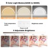 Mznoo Half Moon Light for Nail Desk wtih Phone Holder,