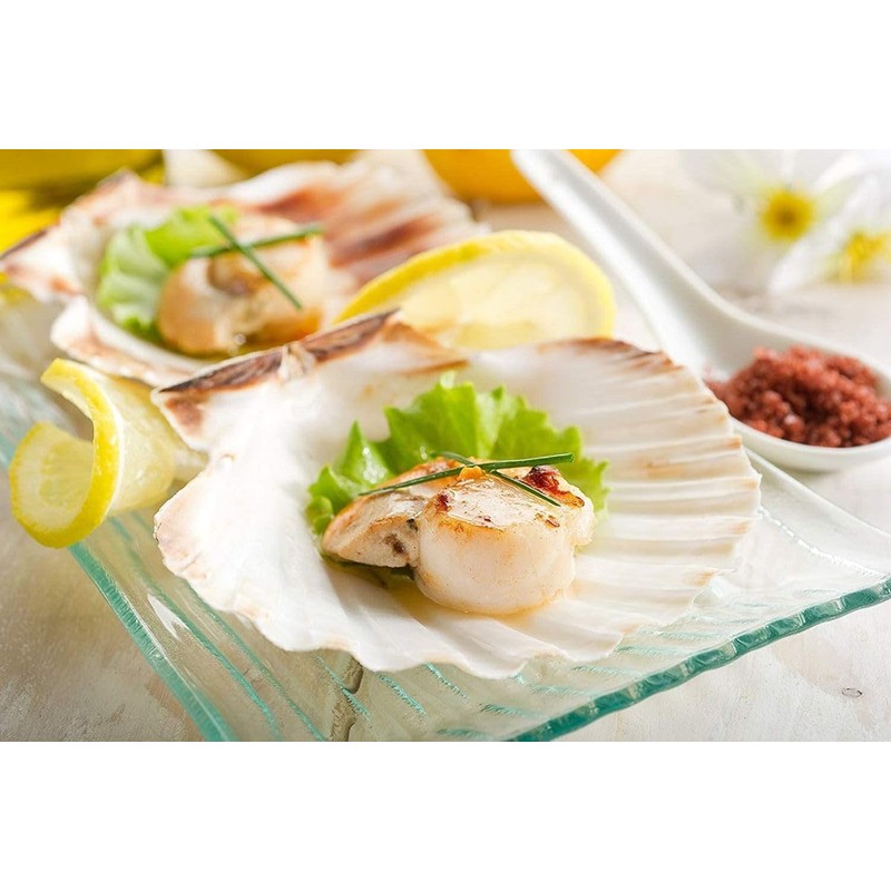 10 X Large 10-13cm Scallop Bowls Flat