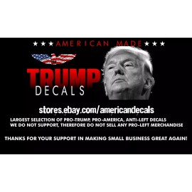 TRUMP 2024 DEMENTIA PATIENT WINDOW BUMPER STICKER POLITICAL