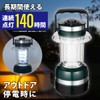 Elpa LED Lantern White 43 Lumens 1 AAA Pack of