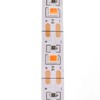 LED Grow Lamp Full Spectrum 3 Meters Dimming Induction Plant