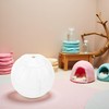 White Silent Exercise Ball Plastic Spinner Hamster Running for Sugar