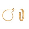 GOLD ESTERGOLD EARRINGS | Designed by Joidart Laboratory | Esterggold