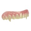 Billy-Bob Vampire Teeth - Premium Handmade Veneers