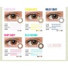 リルムーン ワンマンス (LILMOON 1MONTH) LILMOON 1MONTH スキングレージュ (度あり) -3.50 スキングレージュ