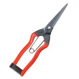 越路 青果 Scissor J – 12