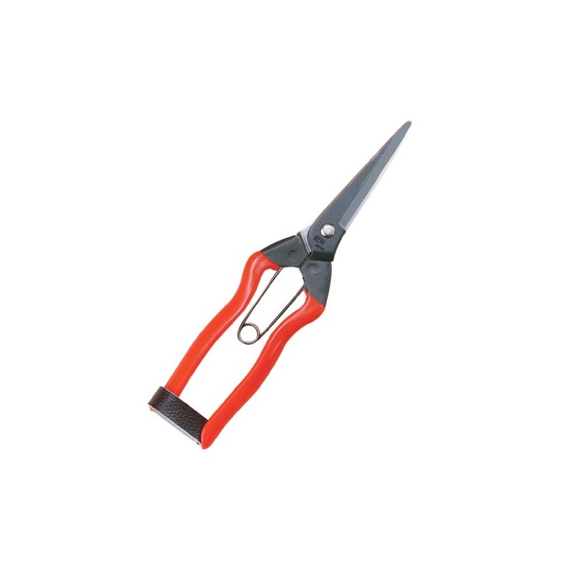 越路 青果 Scissor J – 12