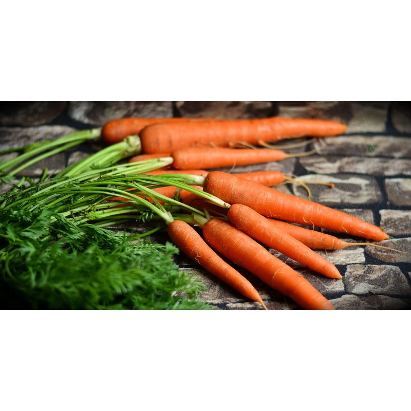 30 Assorted Packages of Vegetable Seeds, 15+ Varieties, All Seeds