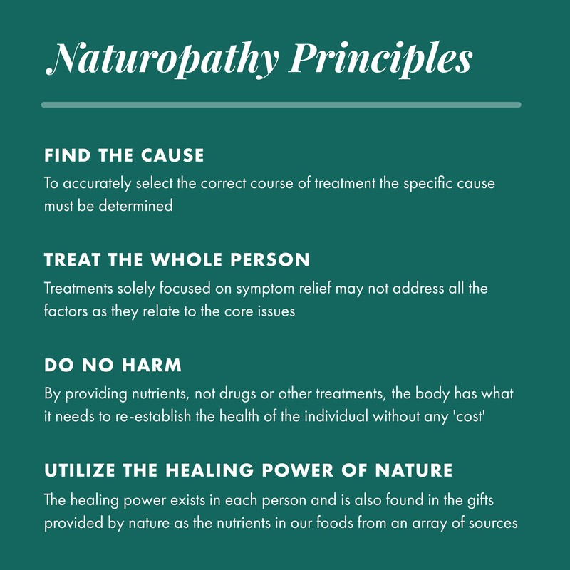 MICHAEL'S Health Naturopathic Programs Kidney Factors - 120 Vegetarian Tablets