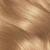 Clairol Nice 'N Easy 8G Natural Golden Blonde