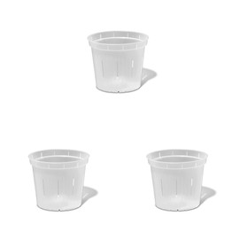 rePotme 4 inch Orchid Pot 3 Pack - Slotted Orchid Pots with Holes for Repotting (Crystal Clear)