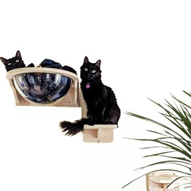 Cat Wall Shelves Wood for Large Cats,Wall Cat Bed Bubble House, Cat Wall Beds Furniture for Indoor Cats Large Size, Cat Perch Transparent Capsule Bed with 2 Cat Steps-XL