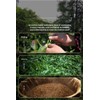 Chinese Black Tea 20 bags (Pack of 1) 100g Wuyi
