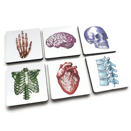 Human Body set of 4 or 6 Coasters color skull anatomical heart skeleton male nurse graduation gift