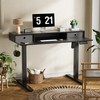 CROWNFURN 48x24 Inch Electric Standing Desk with 2 Drawers,Height Adjustable