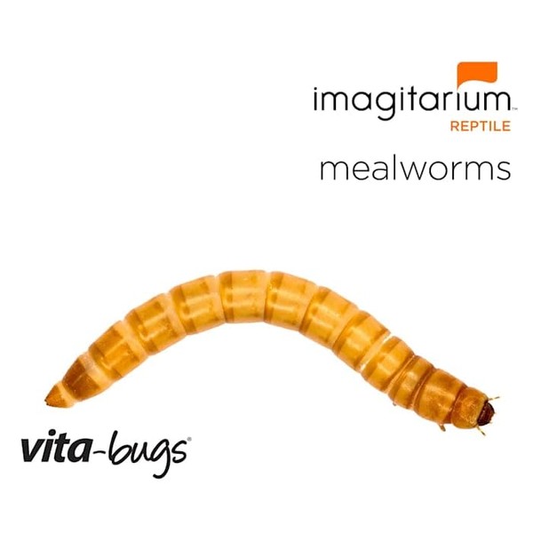 Timberline Timberline Vita-Bugs Medium Mealworms, Count of 1000, 1000 CT