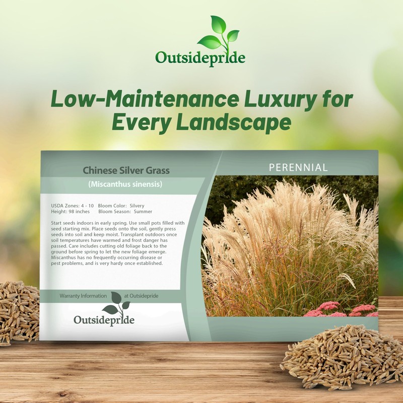 Outsidepride New Hybrids Miscanthus Sinensis Seeds - 250 Pcs. Perennial,