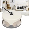 Sticky Dome Flea Capture Trap Bug Trap with 2 Glue