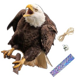 Happyyami Bird Scares Eagle 3D Eagle Hanging Decoration Bird Dragon to Scare Birds Hanging Eagle Flying Birds Scare Flying Dragon Garden Yard