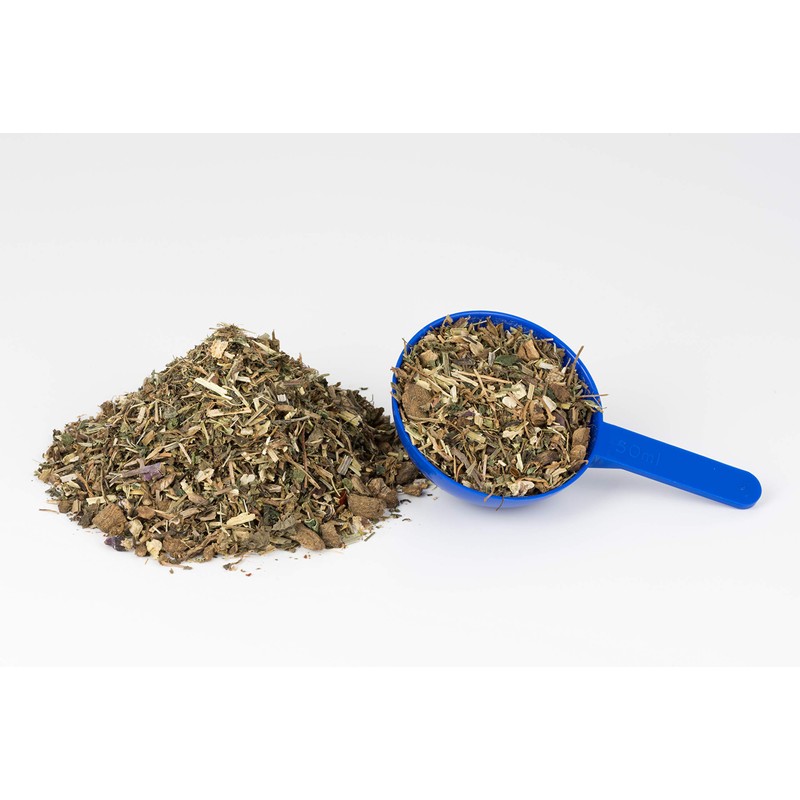 Echinacea Plus: Supports Strong Natural Immunity