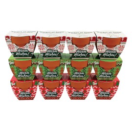 Buzzy Seeds Holiday Sweater Terracotta Mini Grow Pots | Assorted 12-Pack | Christmas Basil, Spruce, Alyssum | Herb Starter Kit for Kids & Adults | Guaranteed To Grow | Gifts, Favors, Stocking Stuffers
