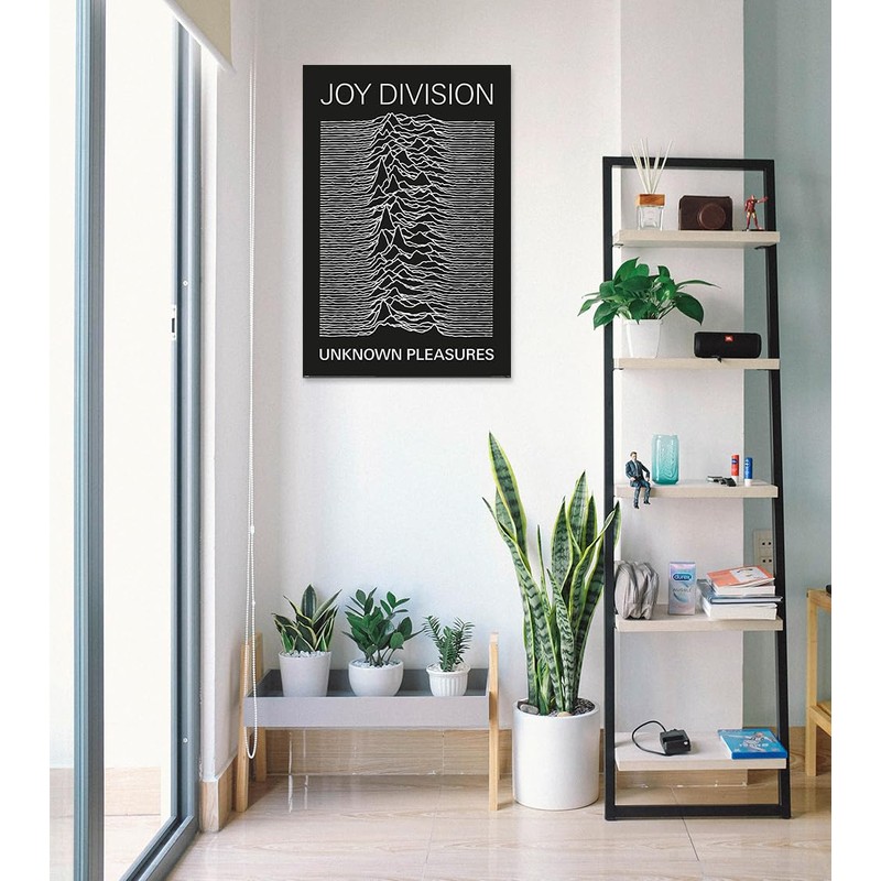 Joy Division - Music Poster (Unknown Pleasure - Album Cover)