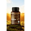 Ozpure 브라운 프로폴리스 8000 3개세트 Brown Propolis 8000 Set of