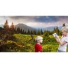 Spring Natural Scenery Background Mountains Trees Green Grass Jungle Photography