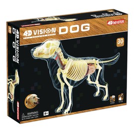 4D Master New - 4D Master 4D Vision Full Skeleton Dog Model - Ages 8+ | 1 player