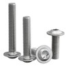 Rounded Head Screw with Flange and Hexalobular/Torx (ISR, TX) Drive,