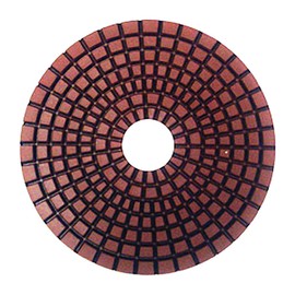 Slayer 4" Wet Premium Polishing Pads - 800 Grit