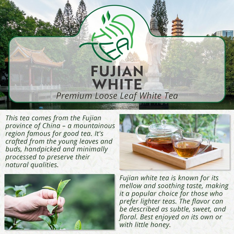 Fujian White Tea – Premium Chinese White Loose Leaf Tea