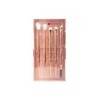 Set De Brochas Professional Eye Set Beauty Secrets 5 Pzas