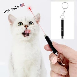 Unbranded Keychain Red Laser Pointer Pen 650nm With White LED Torch Fun Pet Cat Dog Toy